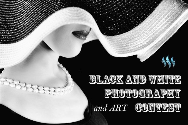 BLACK AND WHITE.jpg