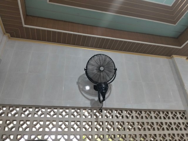 3346.jpg