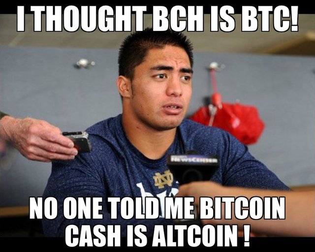 Bitcoin Cash is Altcoin.JPG