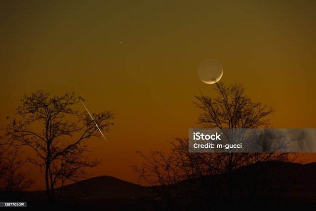 istockphoto-1387705091-1024x1024.jpg