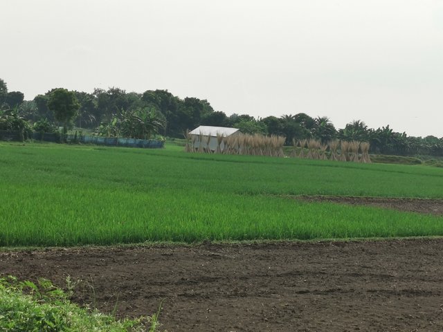 IMG_20240906_145844.jpg