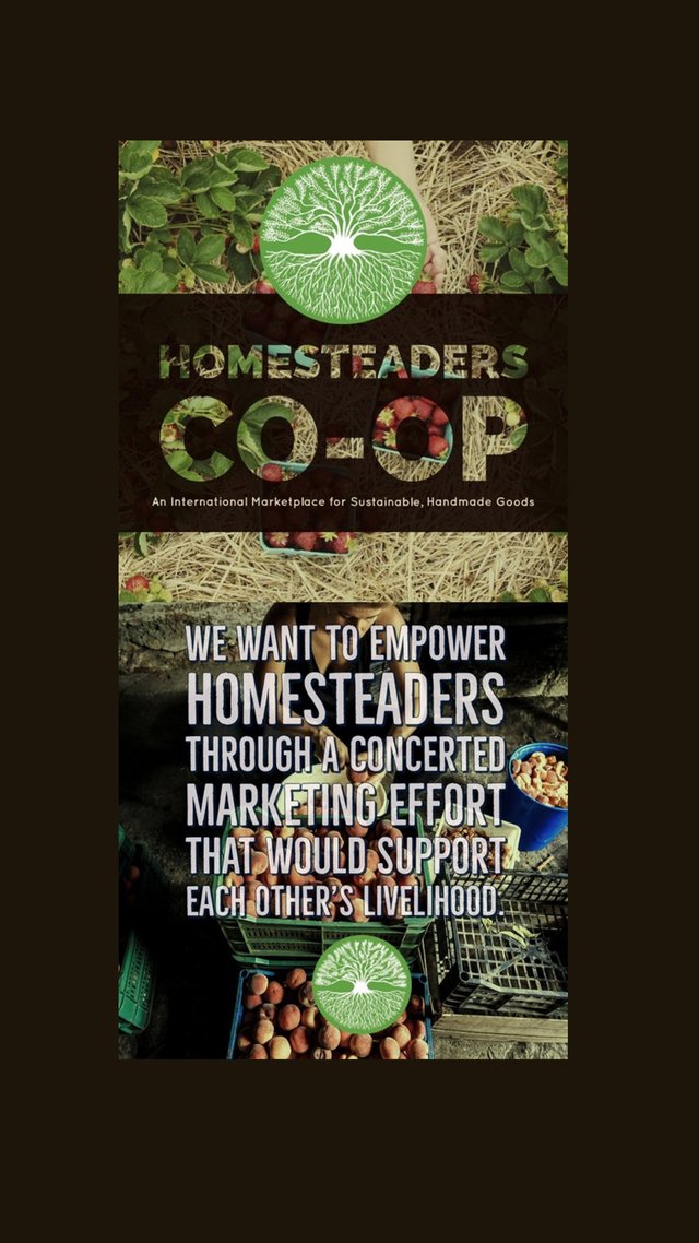 Combined Homesteaders coop and We want to empower 1080 x 1920.jpg