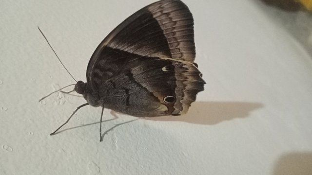 IMG20250531181938.jpg