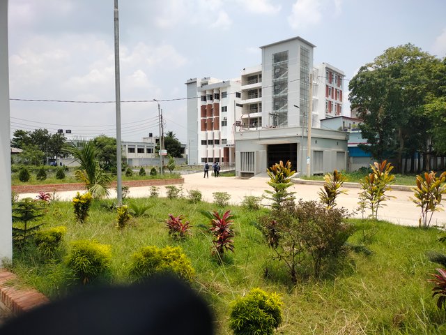 IMG20250505121613.jpg