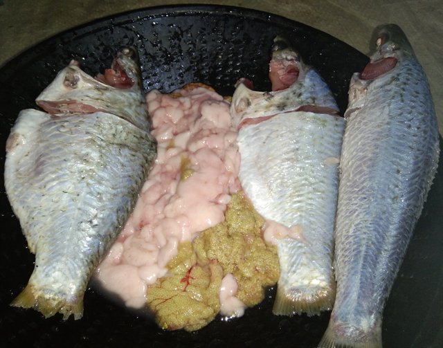 Fish Polao recipe with fish and fish eggs.** — Steemit
