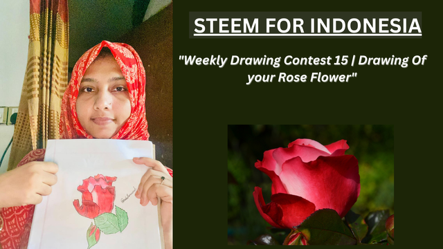 Weekly Drawing Contest 15  Drawing Of your Rose Flower.png