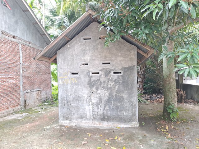 20250715_163532.jpg
