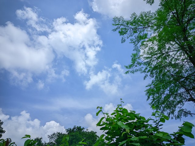 20250616_180630.jpg