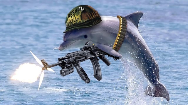 army dolphin.jpg