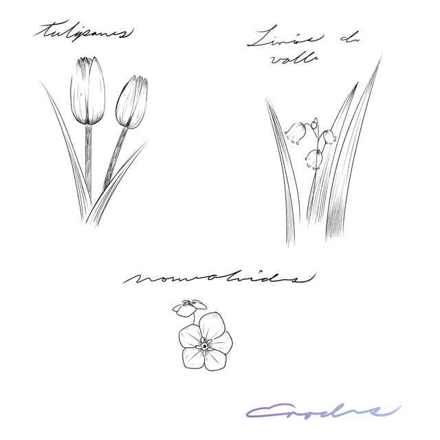 Flores tutorial1.png