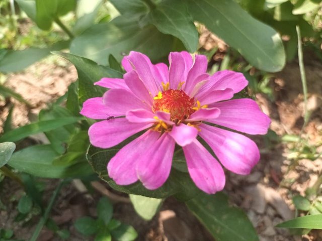 photo_2023-05-08_23-18-44 (3).jpg