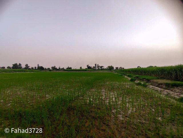 IMG_20250806_184304.jpg