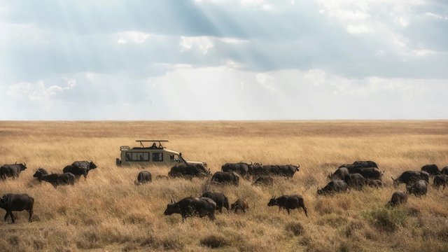 Combining a Safari to Tanzania with a Rwanda Tour.jpg