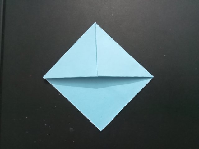 1000027191.jpg