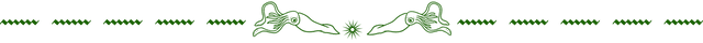 page divider (green-squid).png