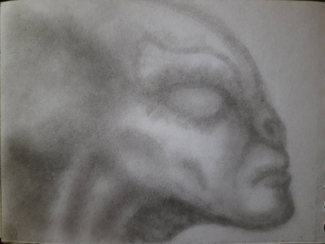 20250427_092958.jpg