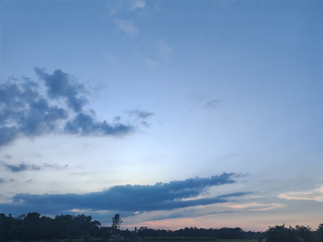 1000049983.jpg