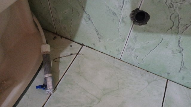 IMG-20250327-WA0049.jpeg