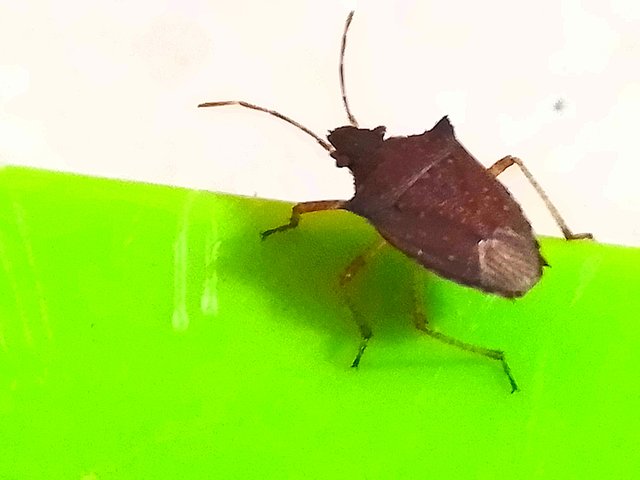 IMG_20241022_123108.jpg