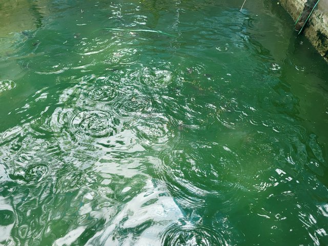 20250422_121913.jpg