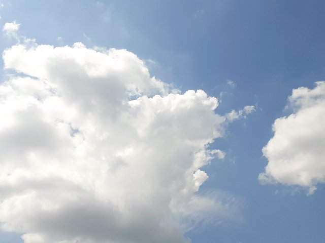20250423_141229.jpg