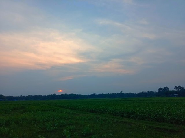 IMG_20250522_215208.jpg