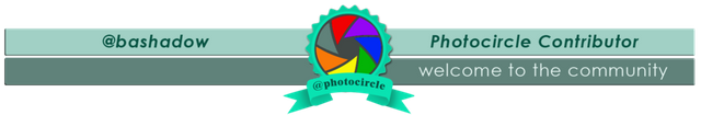my photocircle banner mdified.png
