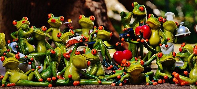 frogs-1364215_640.jpg