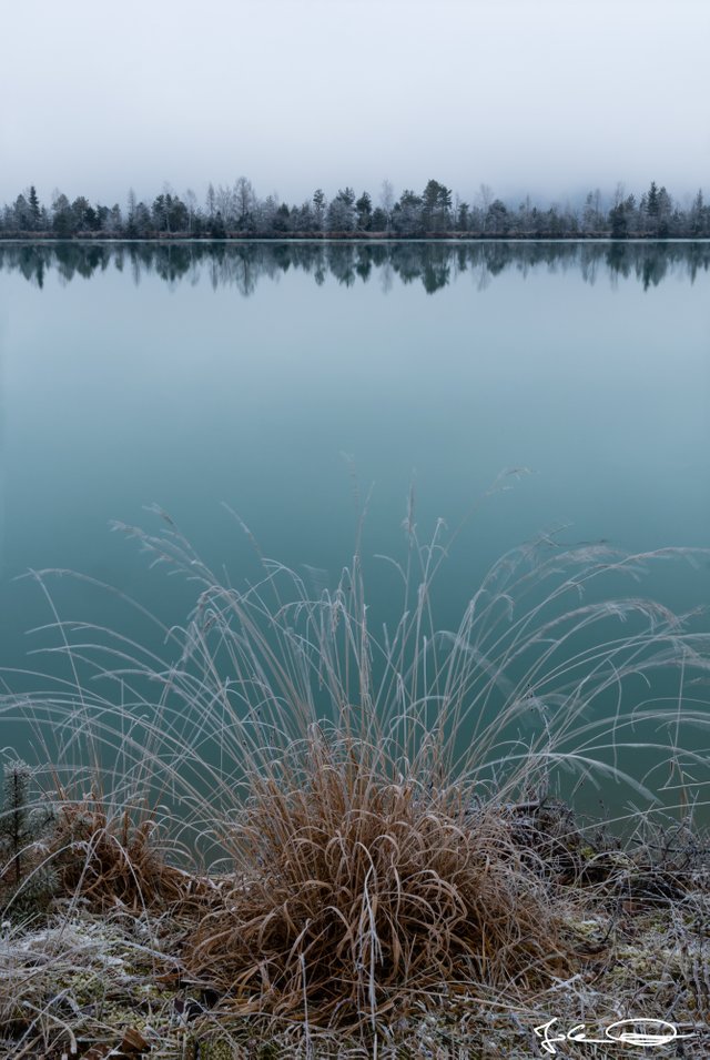 2018-12-23-Drau-misty-River-01.jpg