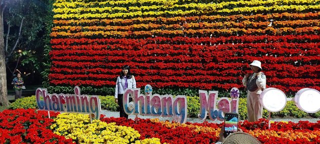 Charming Chiang Mai Flower Festival9.jpg