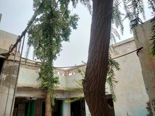 IMG20250616094048.jpg