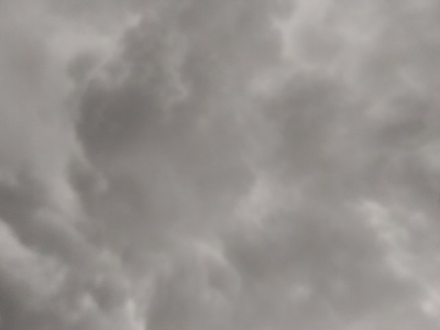 IMG20230523151428.jpg