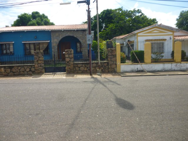P1310183.jpg
