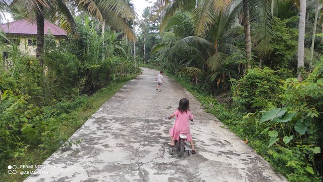 IMG_20250828_072858.jpg