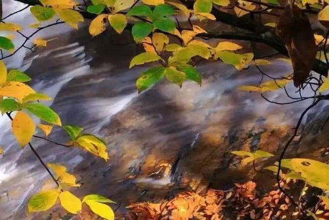 7e03db67043bc5e1f28e