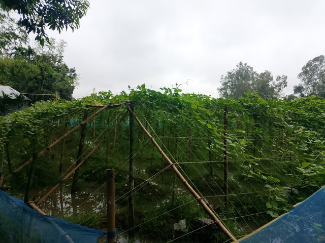 1000051095.jpg