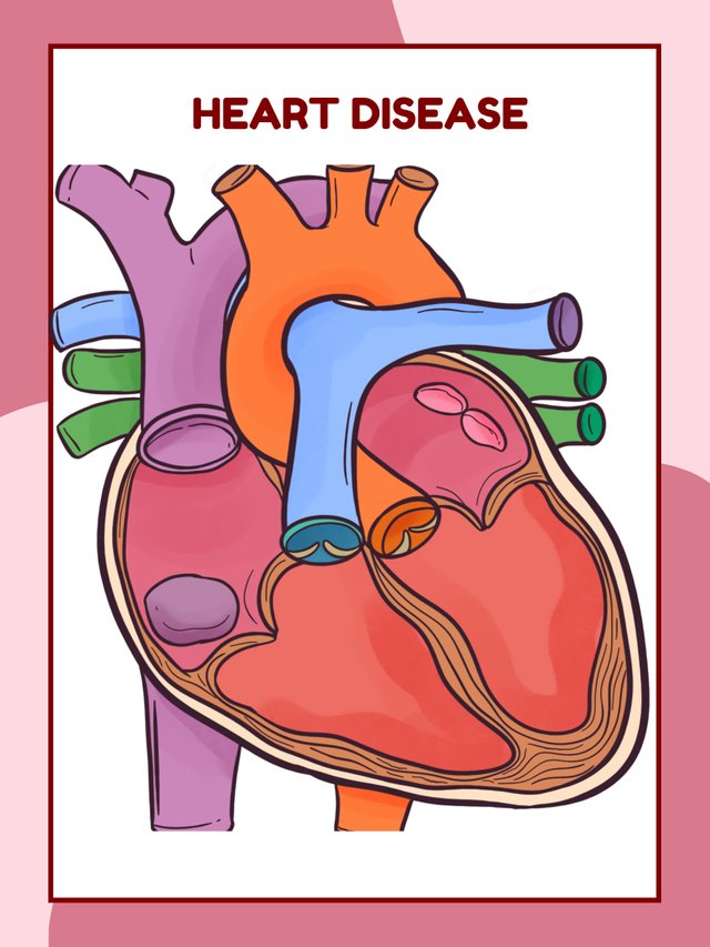 The Anatomy of Human Heart Educational Poster in Pink and Red Hand Drawn Style.jpg