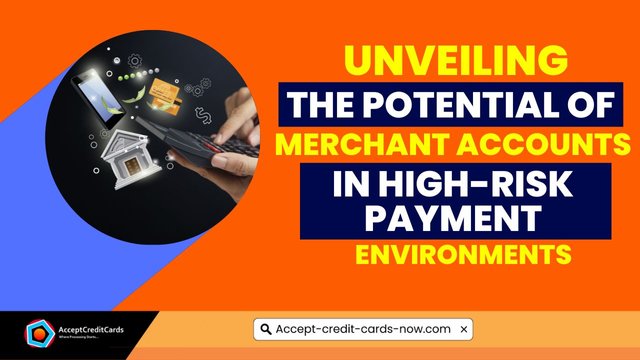 Unveiling the Potential of Merchant Accounts in High-Risk Payment Environments (1).jpg