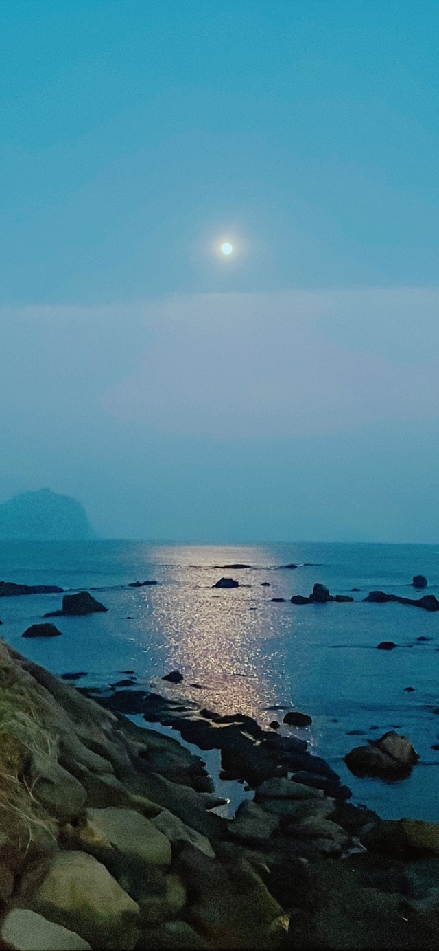 KakaoTalk_20250512_215255850_01.jpg