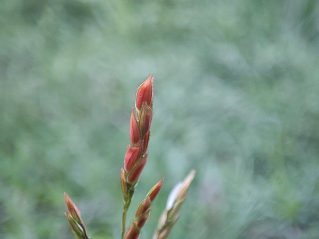 IMG_20250801_182135.jpg