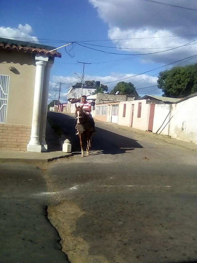 caballo.jpg