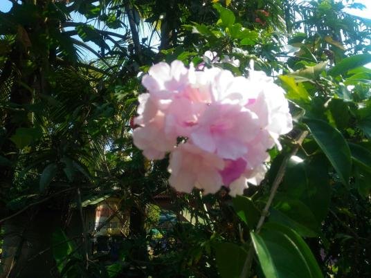IMG-20171113-WA0010.jpg