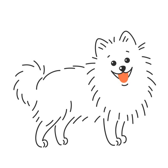 pomeranian-german-spitz-dog-illustration-vector.jpg