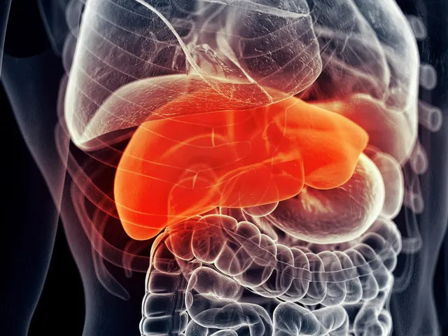 Human-Liver.Pain-Disease.webp