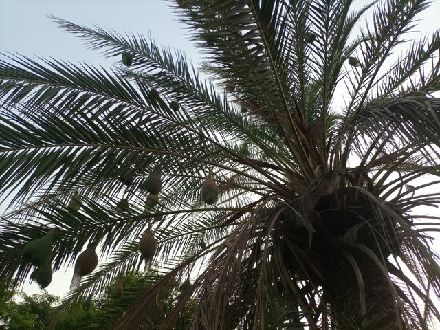IMG_20250619_175314_126.jpg