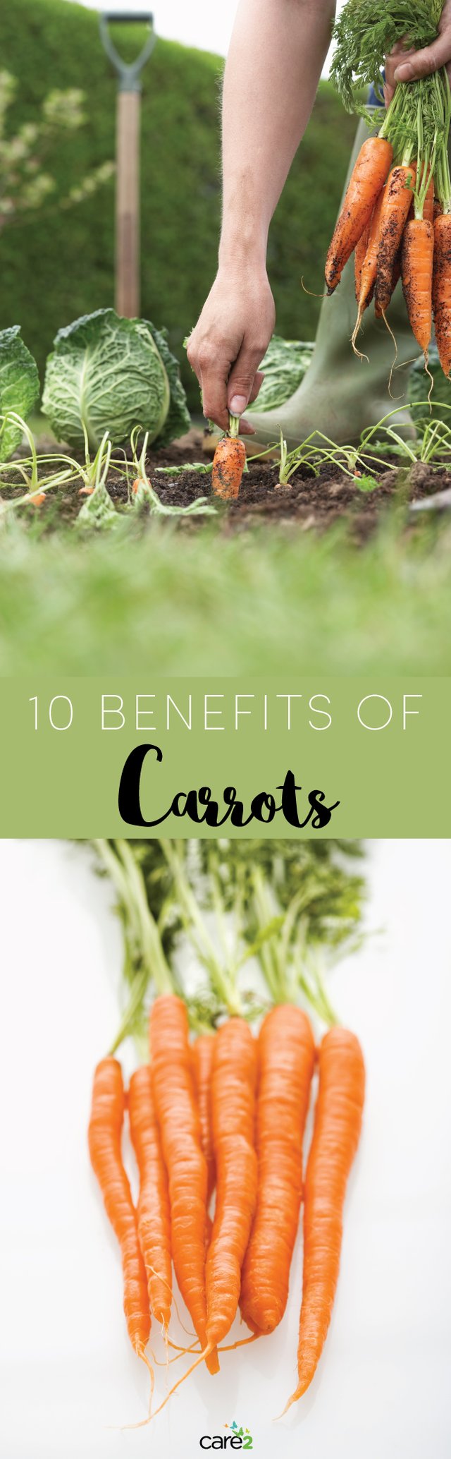 10-Benefits-of-Carrots.jpg