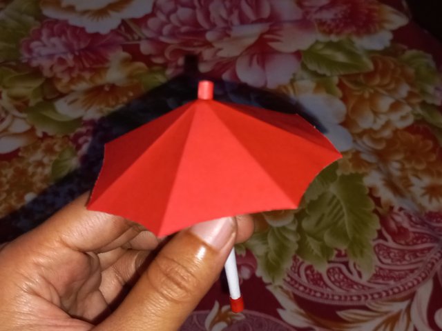 20250502_121749.jpg