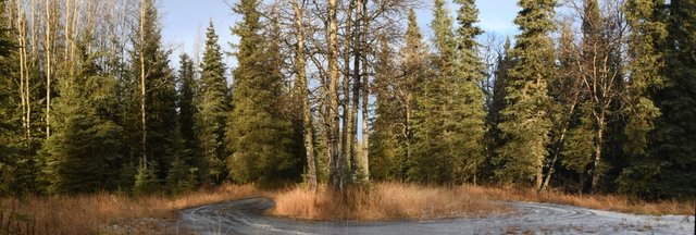 test pano driveway.jpg