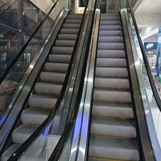 1000036137.jpg