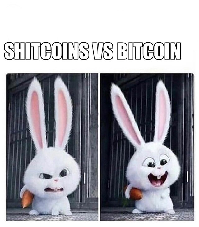 Shitcoin VS Bitcoin.JPG
